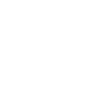 100th Anniversary